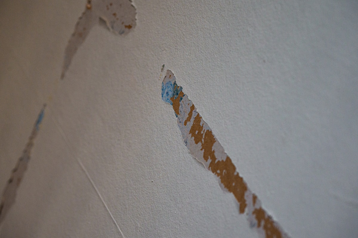 Commercial Water Damage service in Chicopee, MA